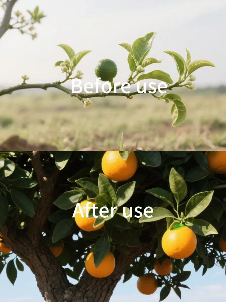 Effectively Promote Growth And Enhance Stress Resistance Jasmonic Acid 20%SL CAS:6894-38-8 Specially Used For Oranges And Potatoes suppliers