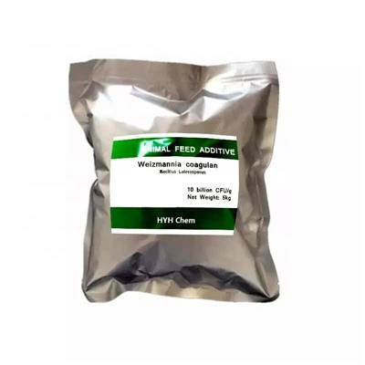 10 میلیارد میلیارد باسیلوس باسیلوس باسیلوس باسیلوس عالی با بهترین قیمت